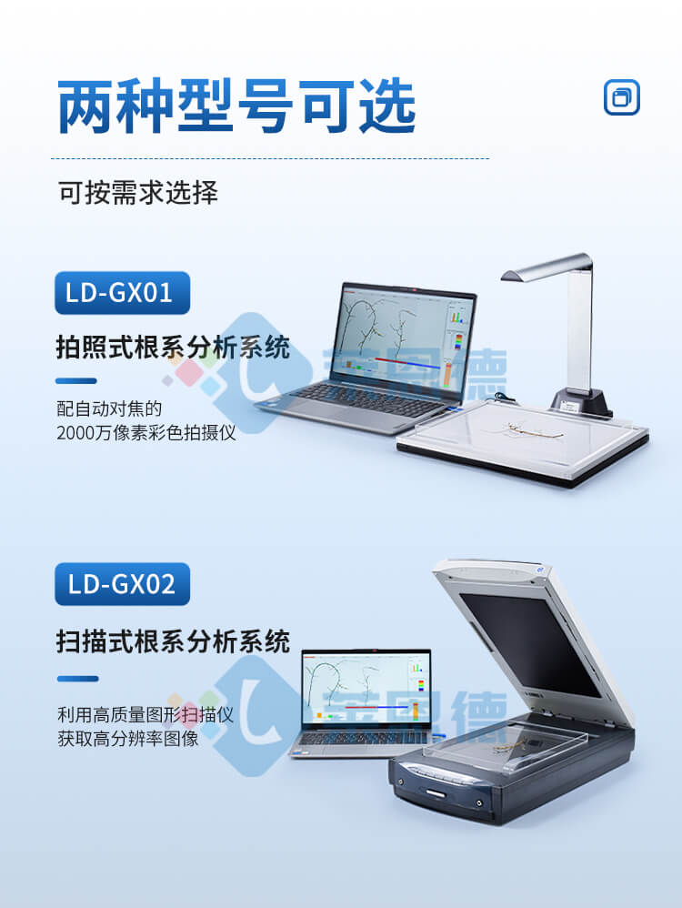 植物根系圖像分析儀