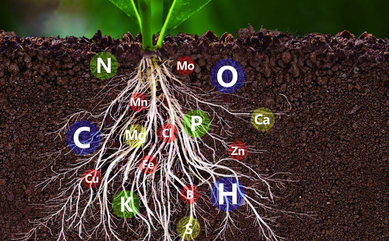 土壤中氮磷鉀含量的測定，土壤氮磷鉀檢測儀快速準(zhǔn)確