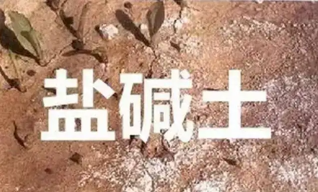 作物為什么生長不健康，用土壤EC計(jì)測(cè)測(cè)便知